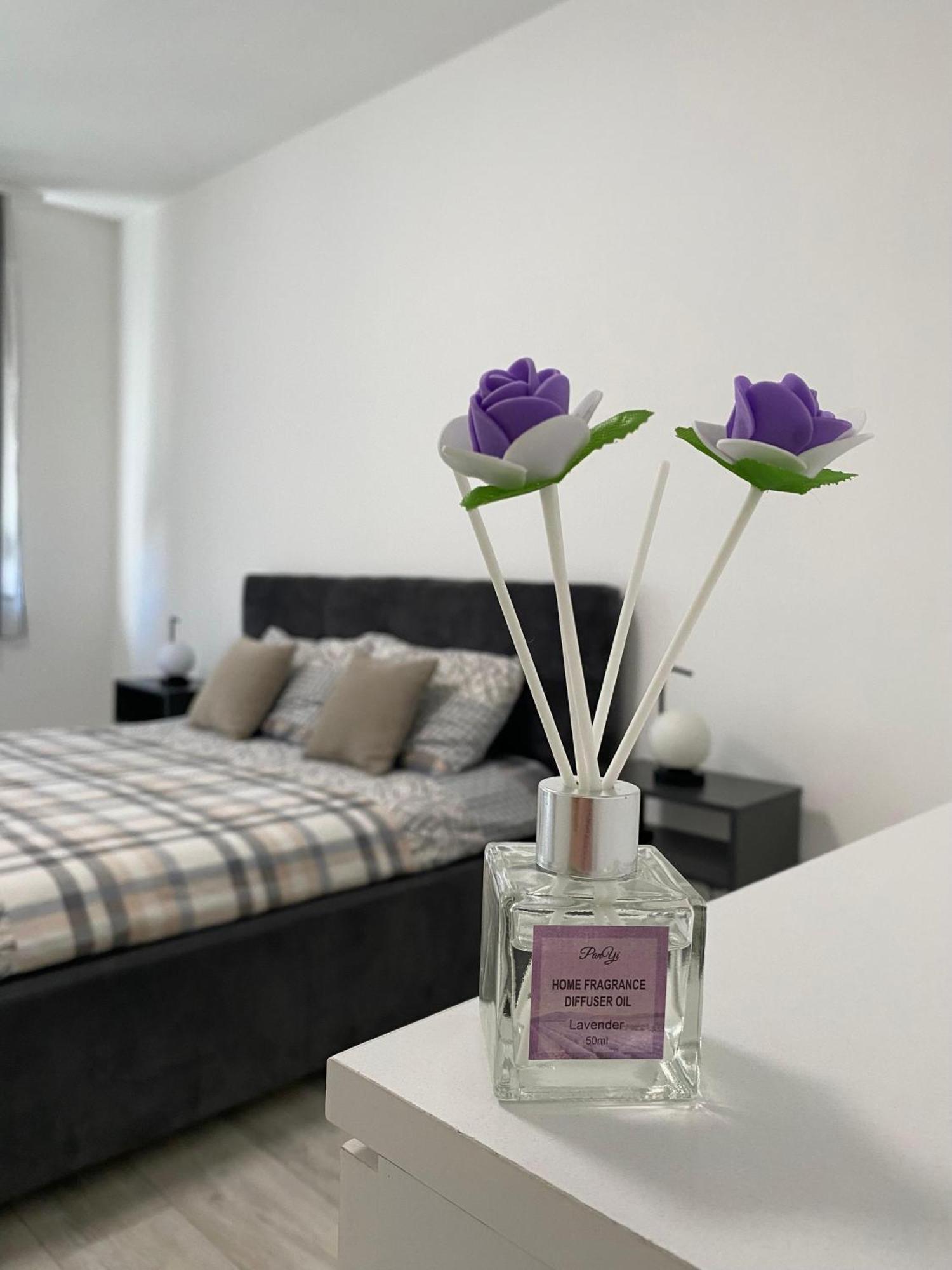 Grand Royal Apartment Belgrade Exterior photo